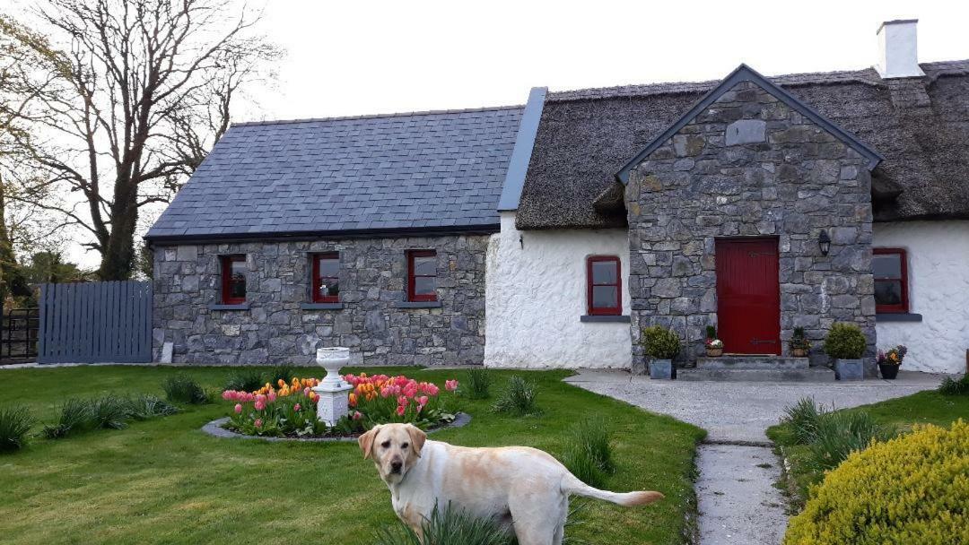 The Thatched Cottage B&B クラレガルウェイ エクステリア 写真