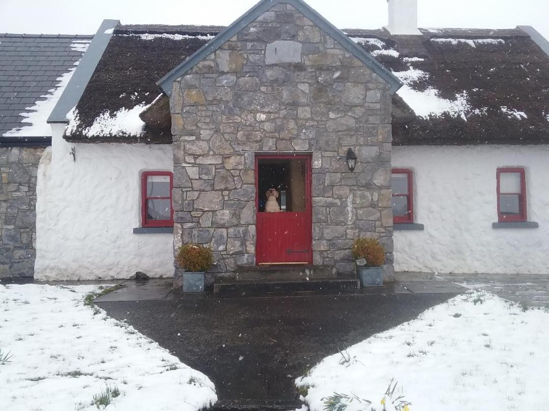 The Thatched Cottage B&B クラレガルウェイ エクステリア 写真