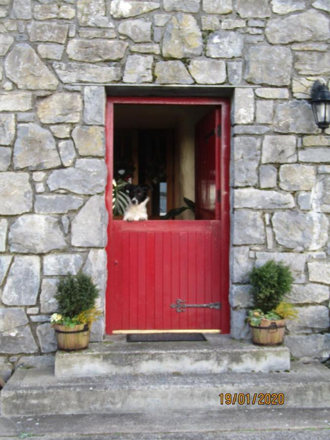 The Thatched Cottage B&B クラレガルウェイ エクステリア 写真